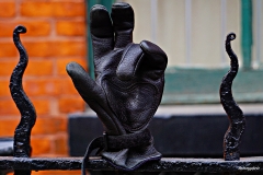 DSC00008