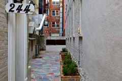 _MG_0070