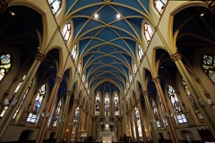 DSC00364